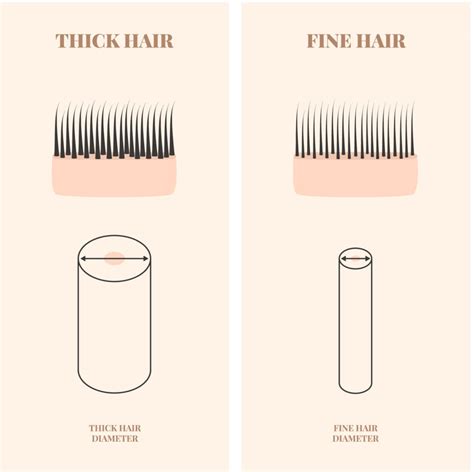 thickness of human hair pdf